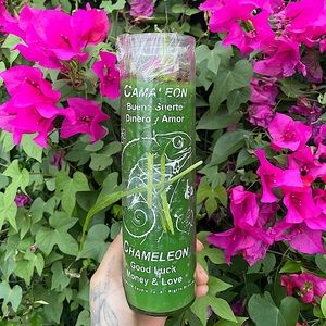 Chameleon fixed candle